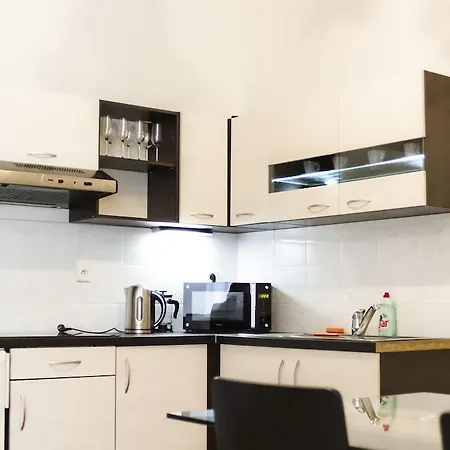 Apartment Vitkov Prag