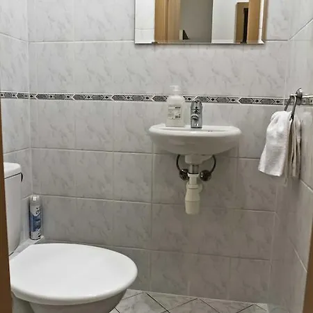 Apartment Vitkov *