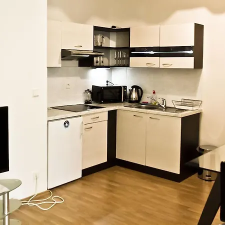Apartment Vitkov *